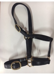 black_halter_2052964770