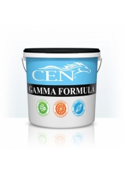 gamma_formula_2l