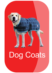 hh-dog-coats-button