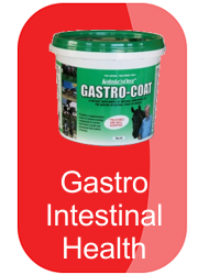 hh-gastro-intestinal-health-button