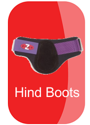 hh-hind-boots-button