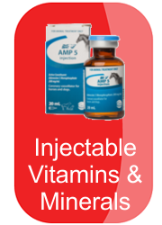hh-injectable-vitamins-and-minerals-button