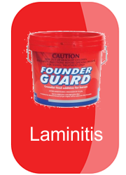 hh-laminitis-button