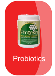 hh-probiotics-button-19356