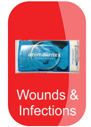hh-wounds-and-infections-button