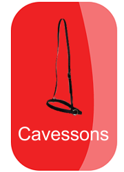 hh_cavessons_button