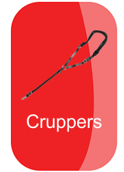 hh_cruppers_button