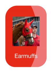 hh_web_icon_earmuffs