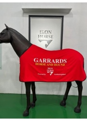 ih_polar_fleece_rug_customised_ihrug2-c