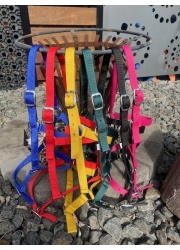 nylon_halters_1