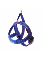 quick_fit_harness_blue_lowres__10960_1480668580_1280_1280