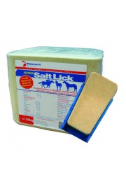 salt-licks-500x526