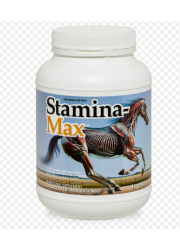 stamina-max_1kg