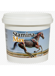 stamina-max_2_5kg