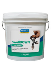 swelldown_5_2kg_new_9_9_25