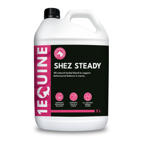 1equine---shez-steady---5-l---new