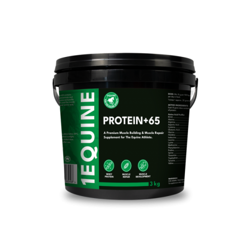 1equine_-_protein65_-_3kg