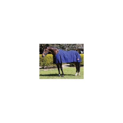 773155 blue mountain 21613