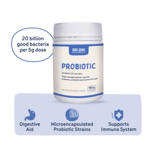 big_dog_probiotics_108039648