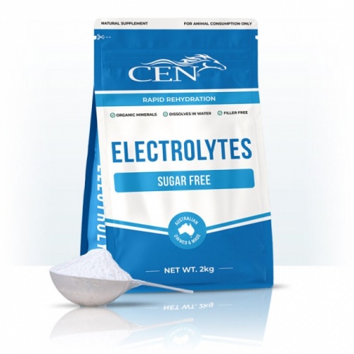 cen_electrolytes_2kg