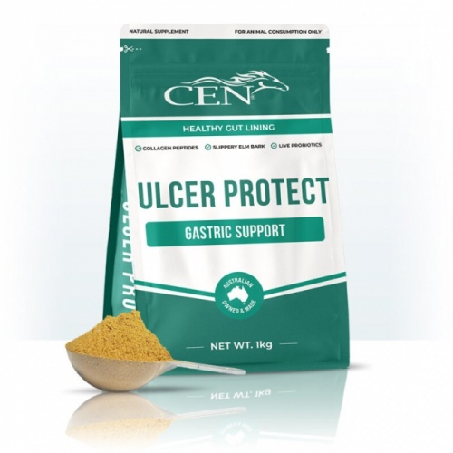 cen_ulcer_protect_1kg