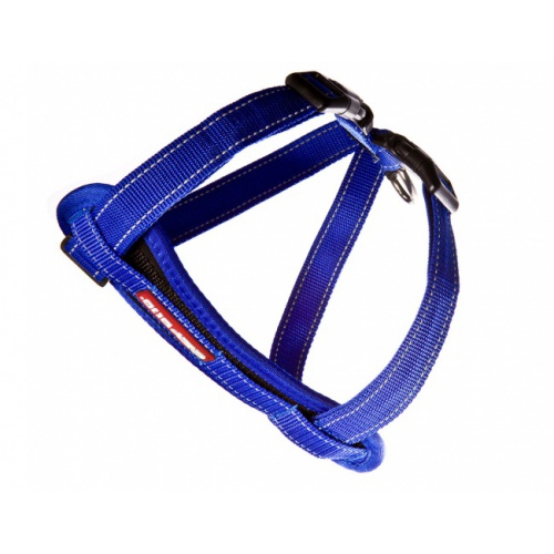 chest_plate_harness_blue_lowres__84593_1481808430_1280_1280_25390