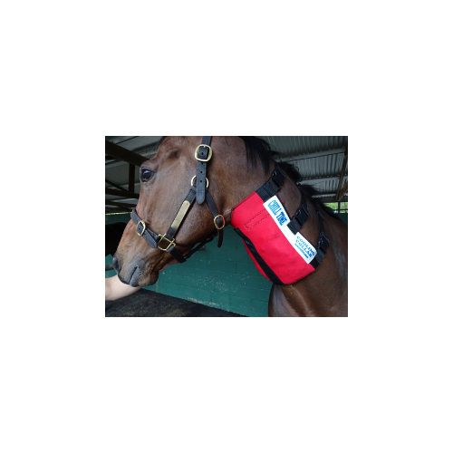 chill_time_cooling_collar