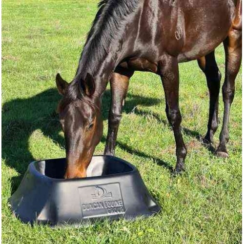 duncan_equine_padock_feeder