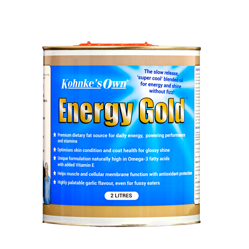 energy-gold-2l_550x825