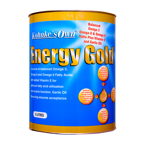 energy-gold-5l_550x825_359405003
