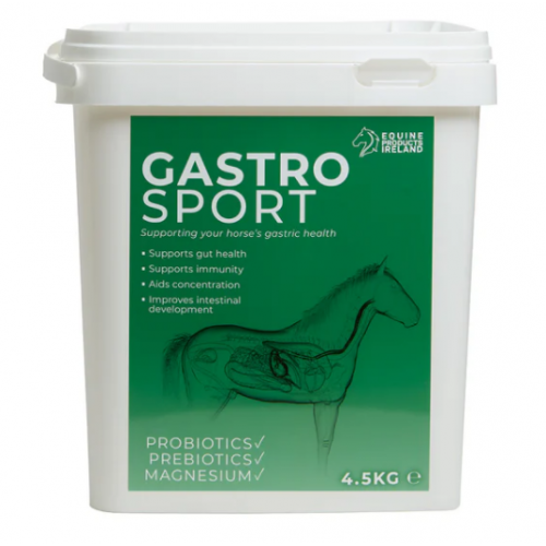 gastro_sport_1889456737