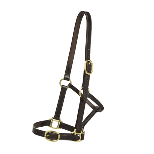 headcollar_1903