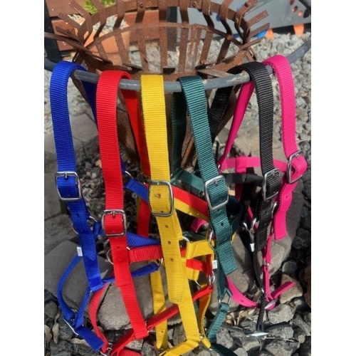 nylon_halters_2_6917858