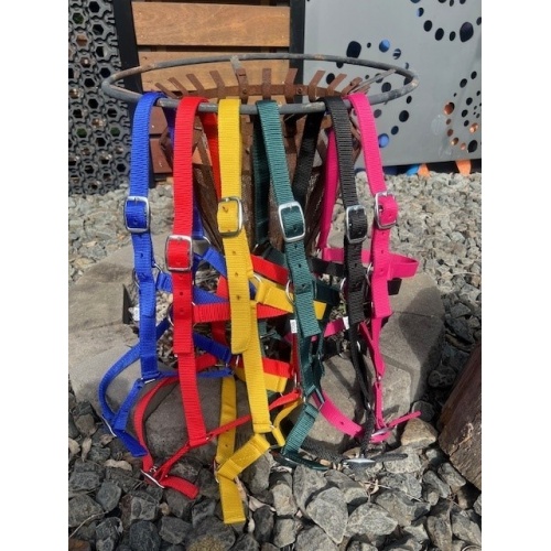 nylon_halters_3_1735547305