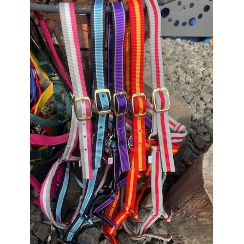 nylon_multi_halter_1_945162303