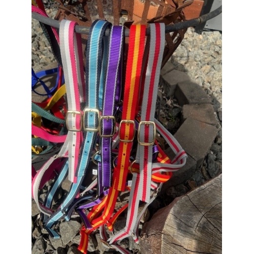 nylon_multi_halter_2_711668892