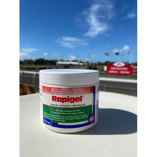 rapigel_tub_250