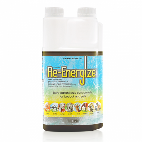 re-energize_1_litre_20739