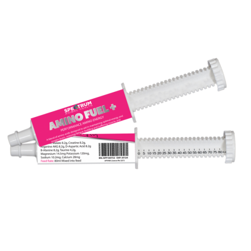 spectrum-_amino_fuel_80ml