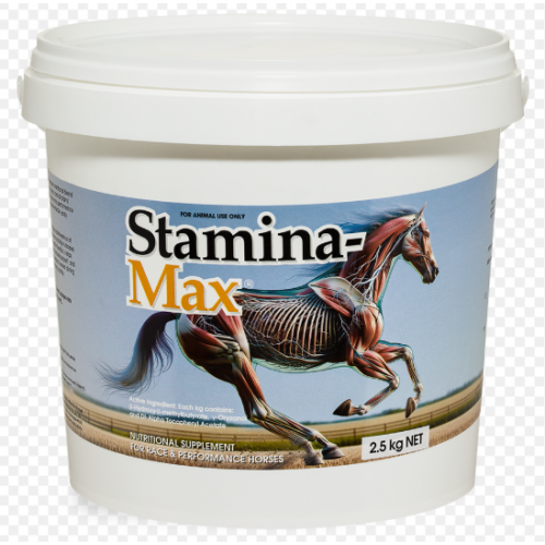 stamina-max_2_5kg