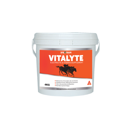 vitalyte-4kg-300x300